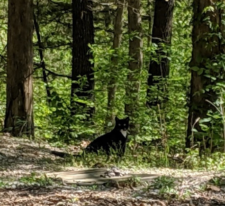 Bull Run Bluff Campground