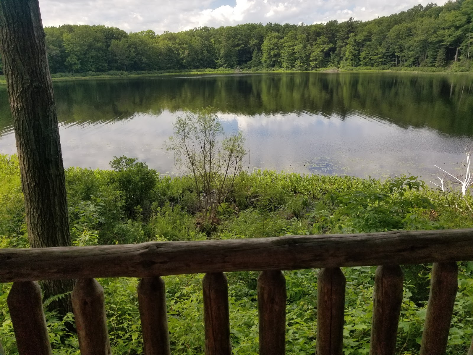 Blue Gill Lake Campground