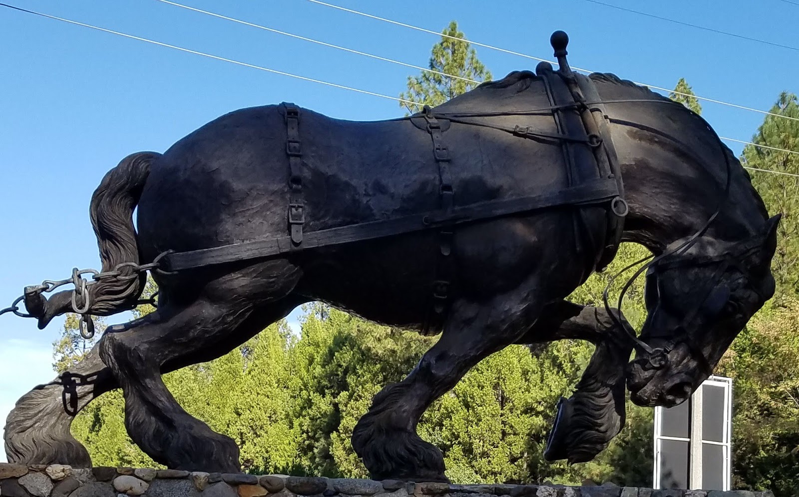 Nevada County Fairgrounds RV Park