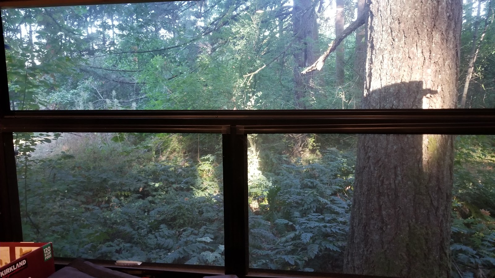 Big Fir Campgrounds RV Park