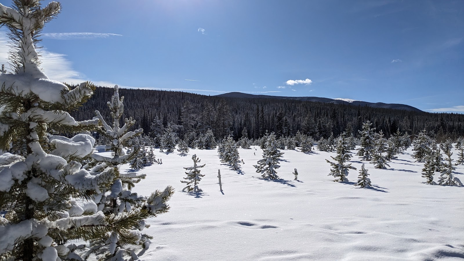 St Louis Creek Campground