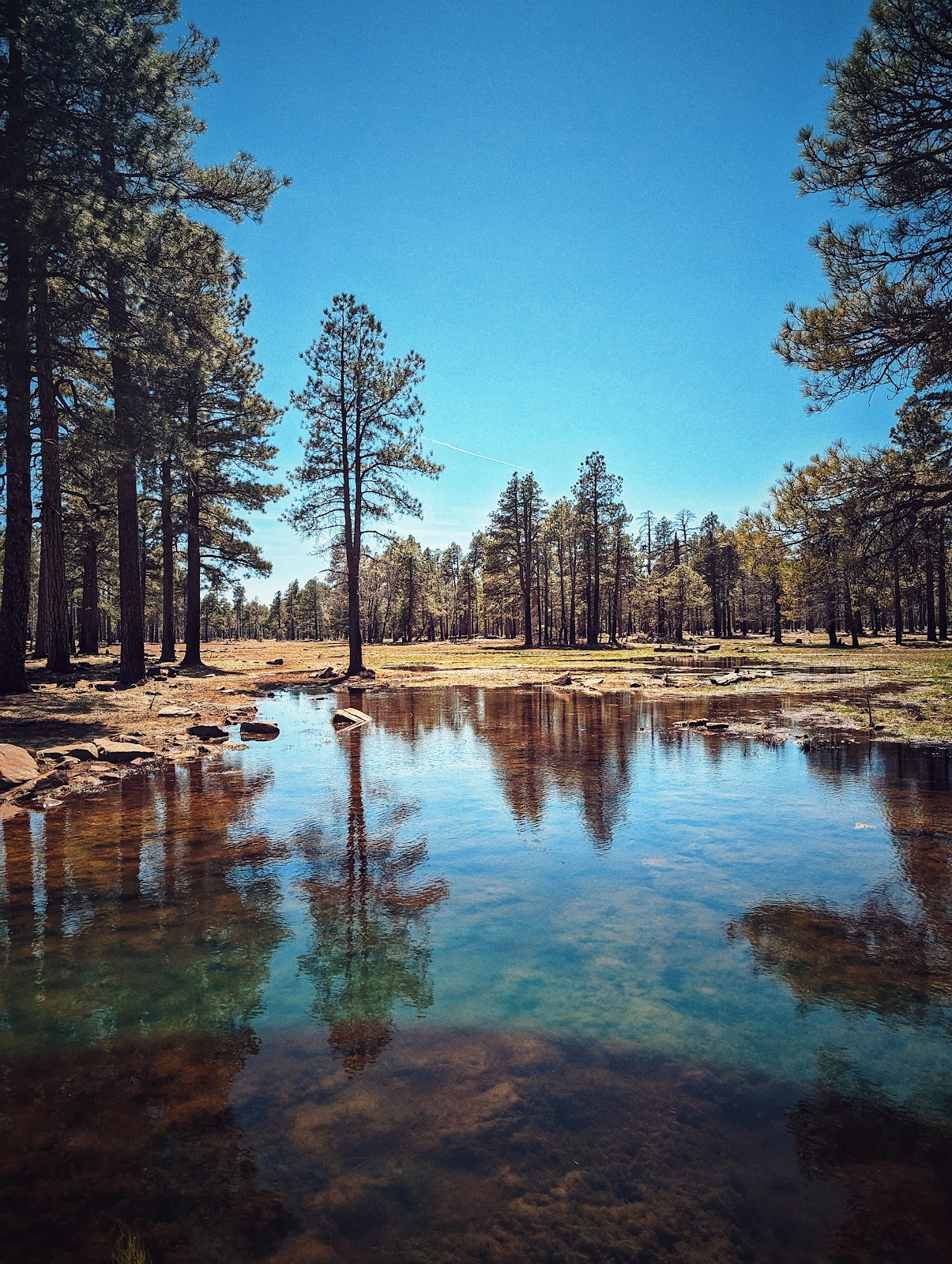 Sinkhole Campground (Forest Service)