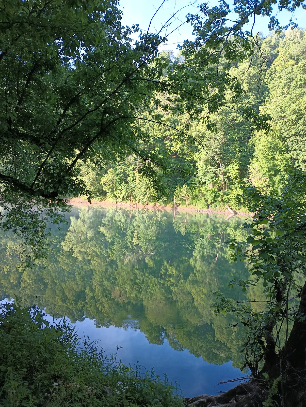 Camp on the Kentucky
