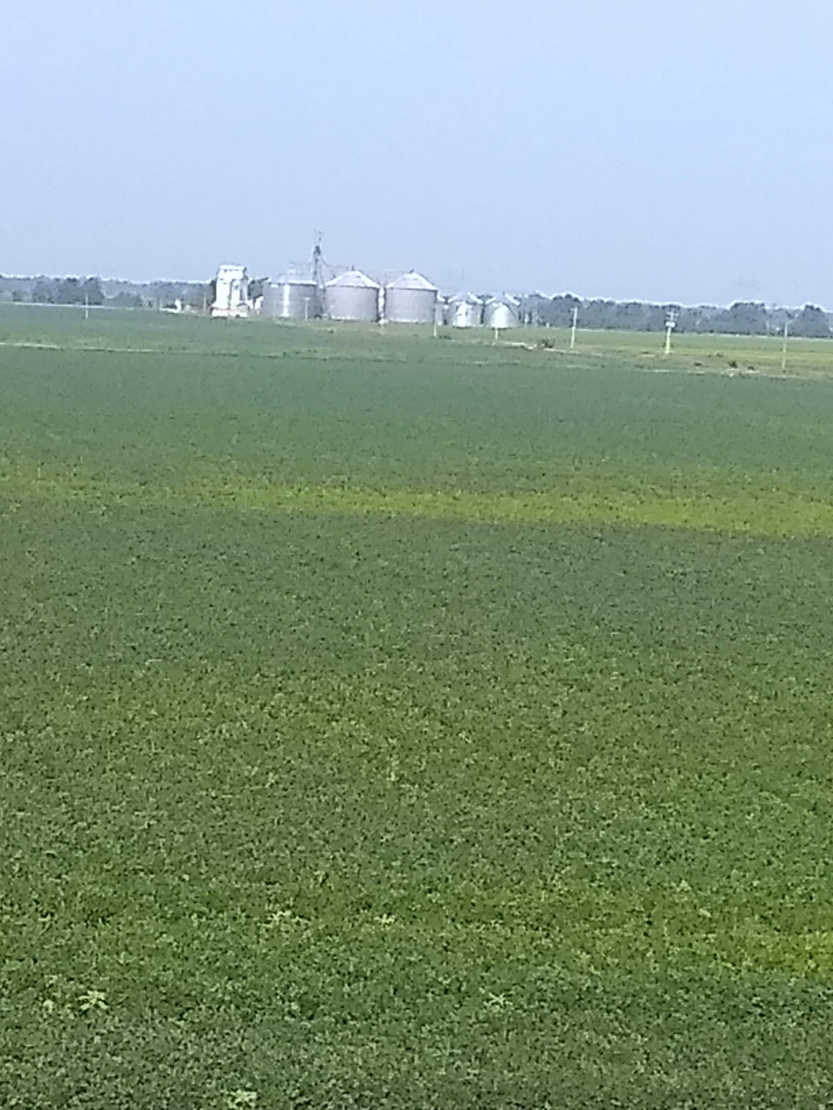 Paradise Wings Hunting Lodge