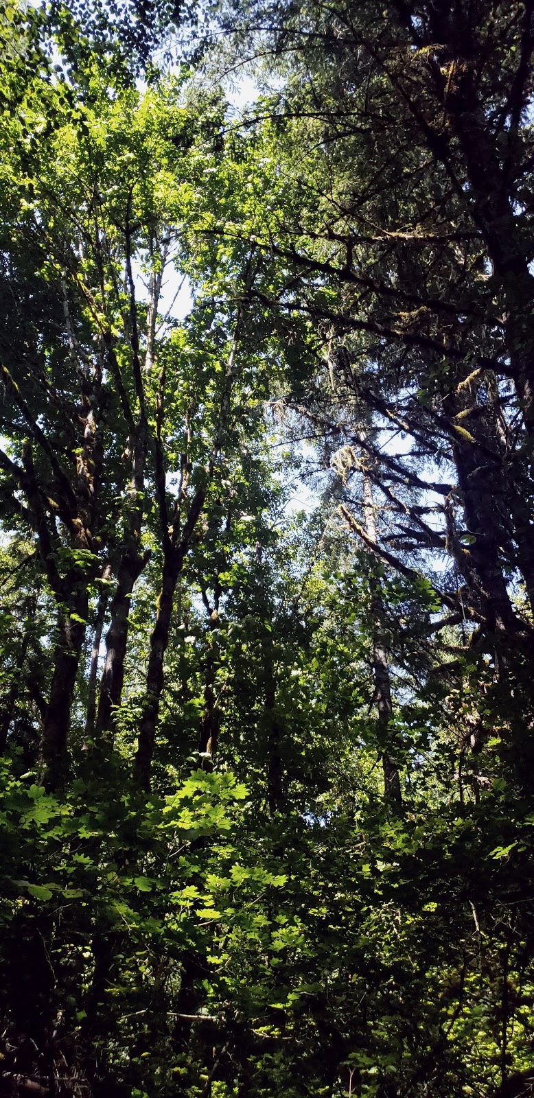 Elkhorn Valley and Canyon Creek Rec Site