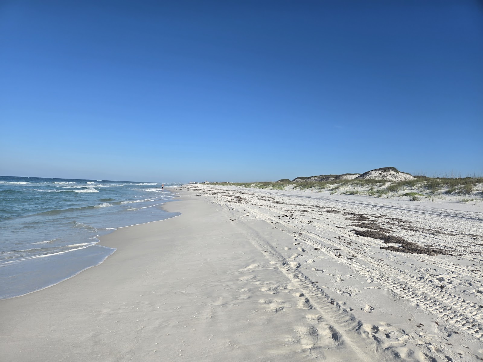 Grayton Beach State Park