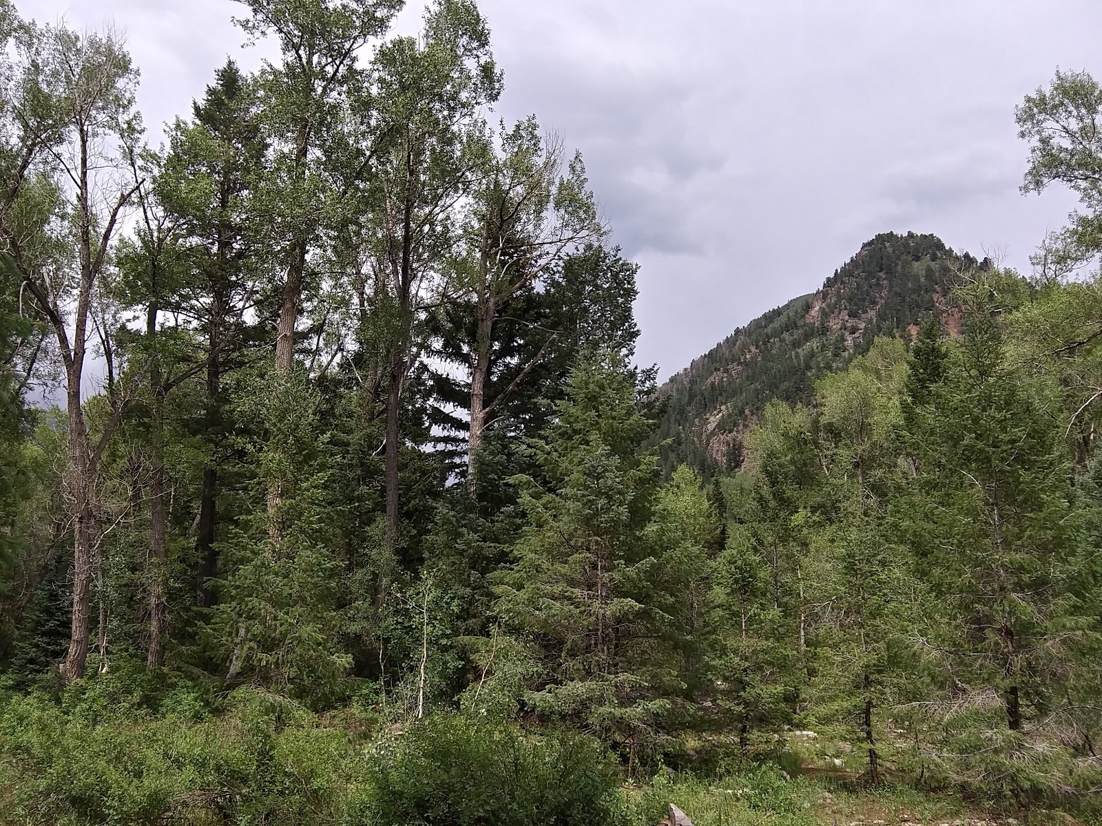 La Plata Canyon