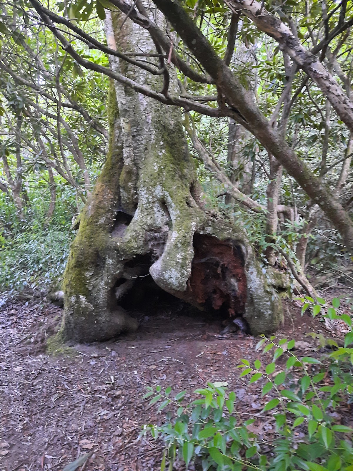 Standing Indian Campgound