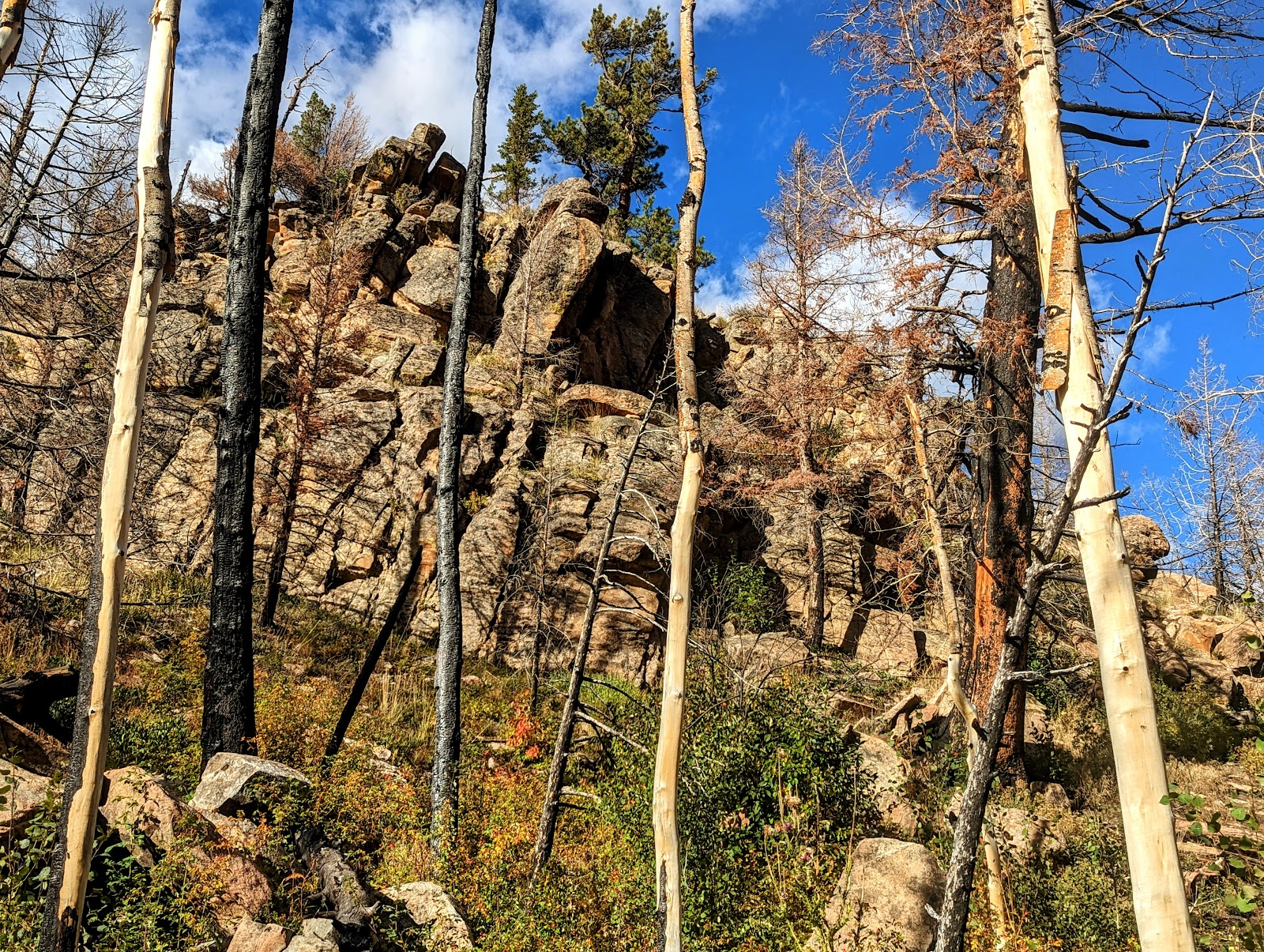 Pike Pole Campground