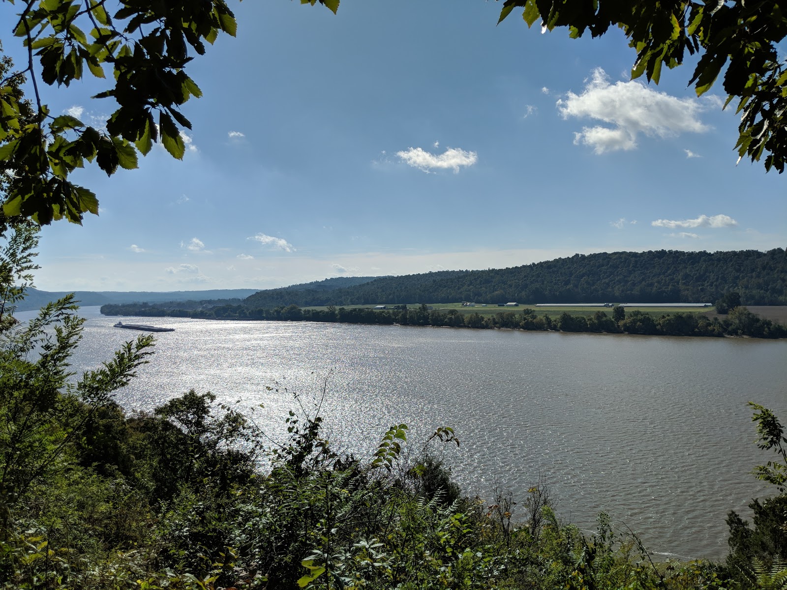 Harrison-Crawford State Forest