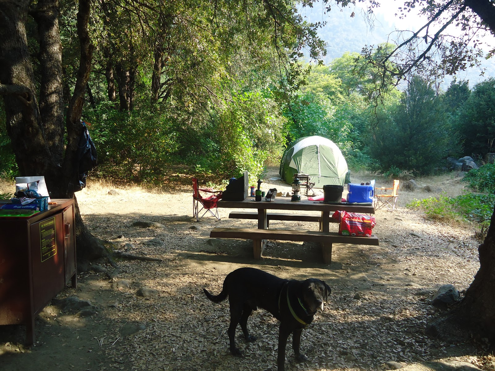 Queen Lily Campground