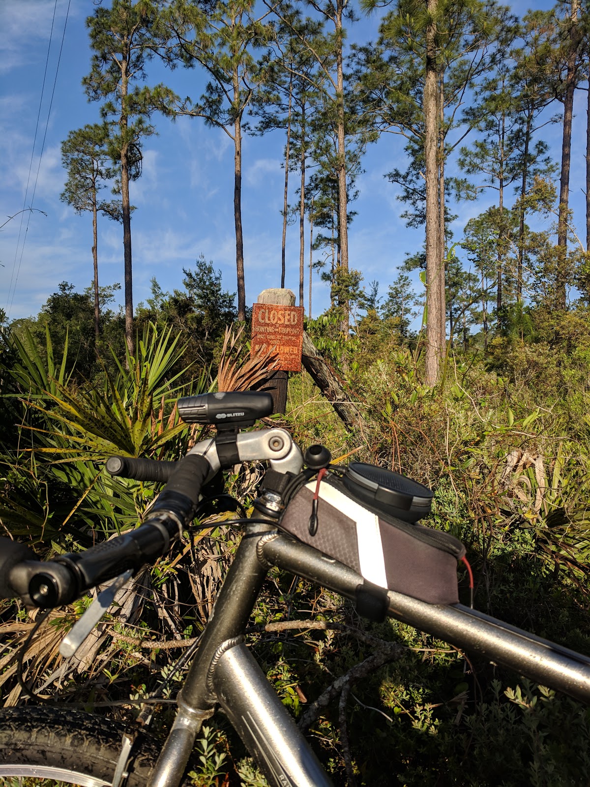 Lake Shore Group Camp