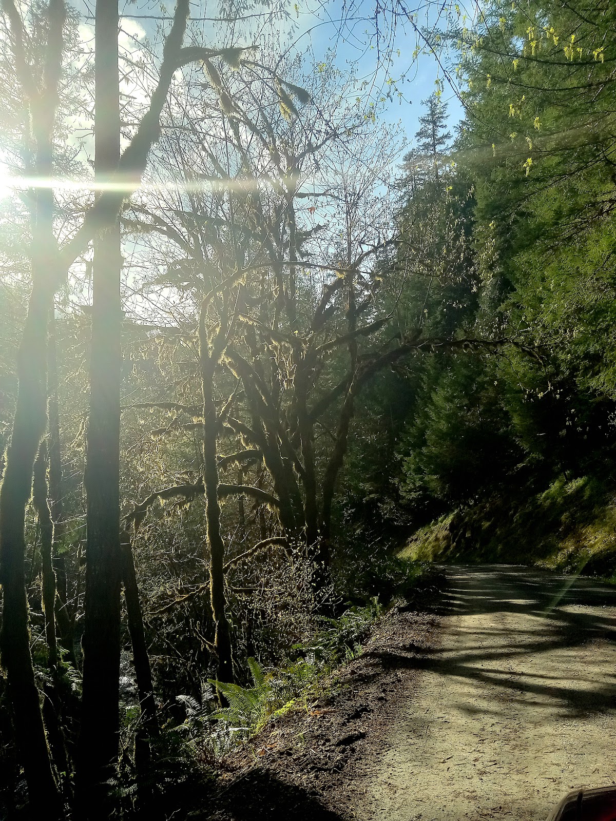 Mineral Camp Campground