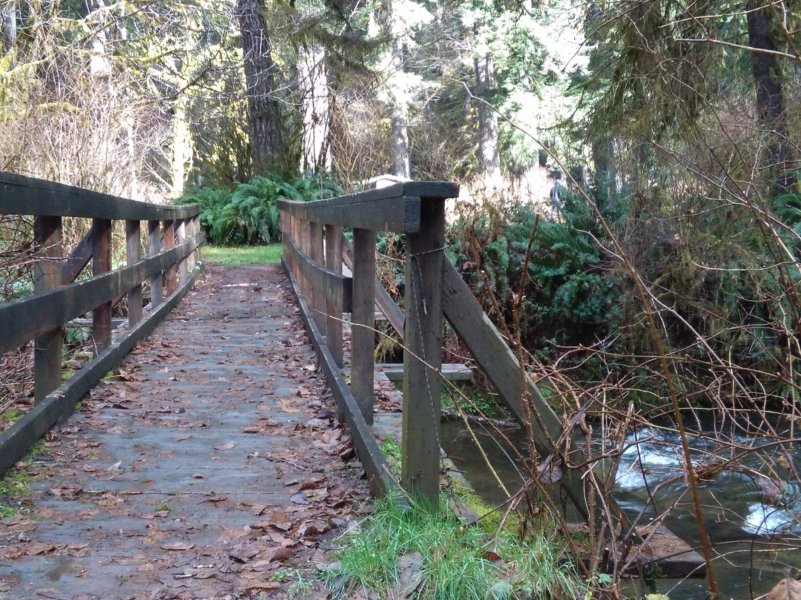 Canal Creek Group Campground