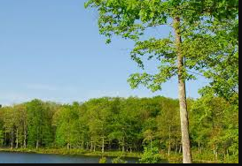 American Family Campground