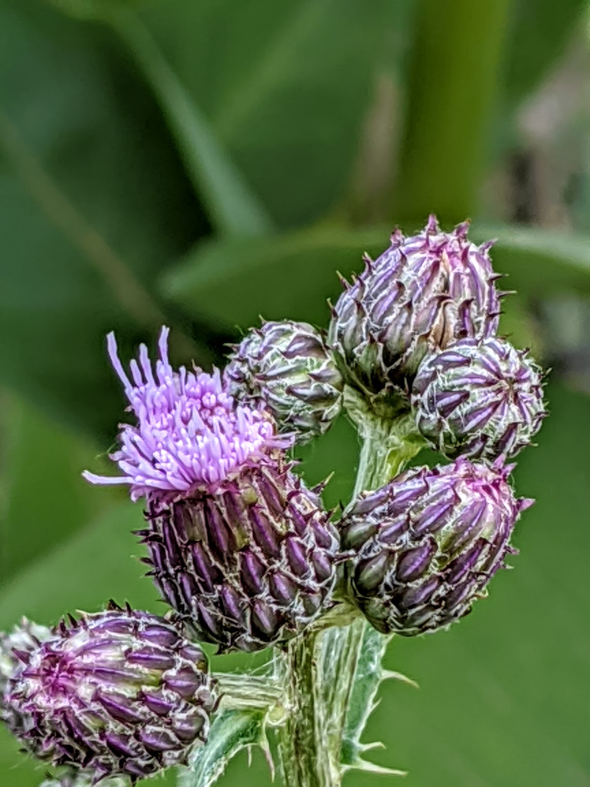 Worland Cowboy Campground