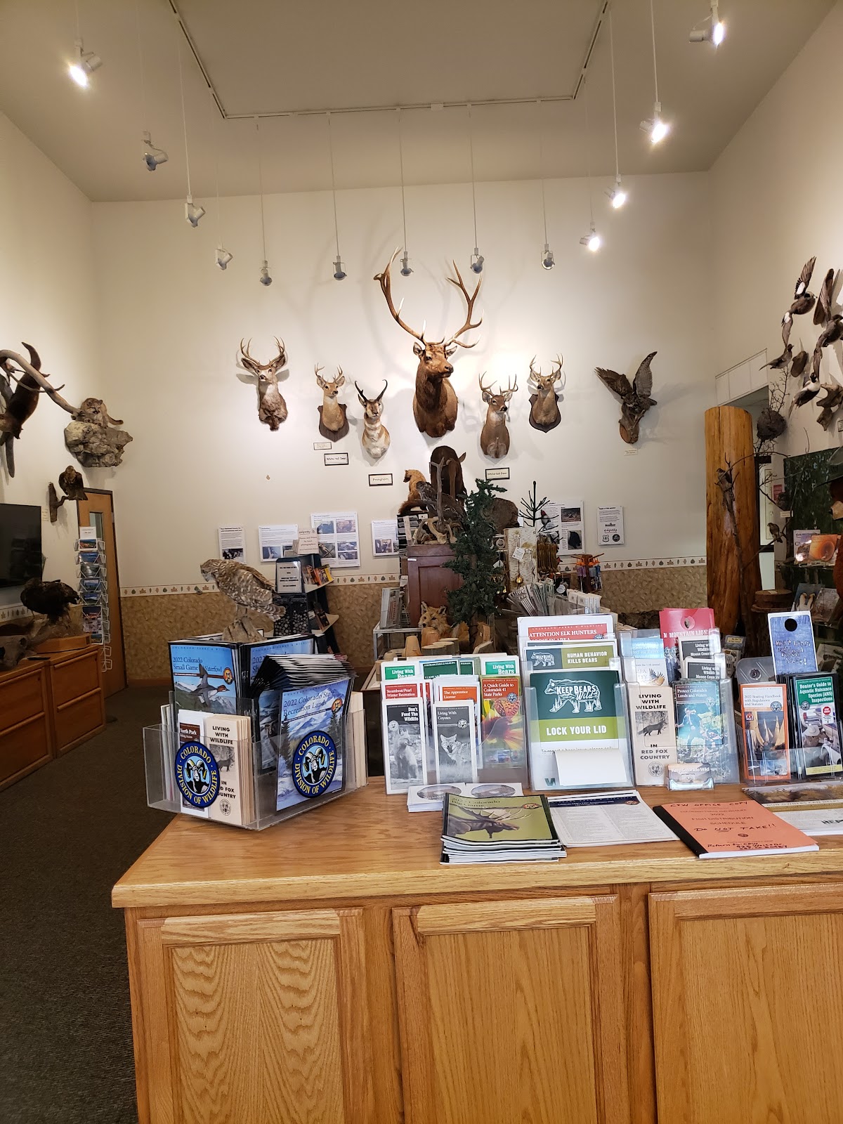 Hahns Peak Lake Campground