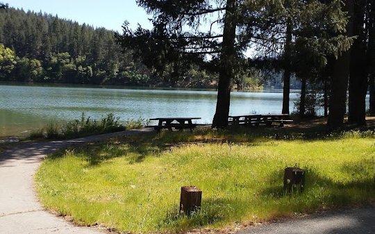 Cooper Gulch Campground