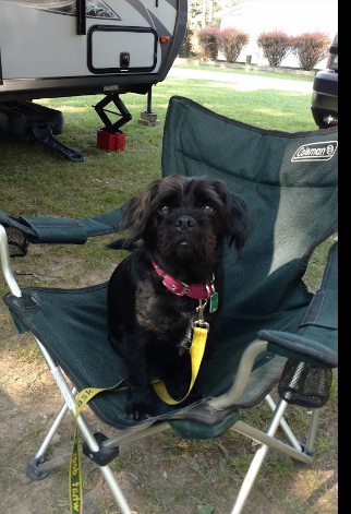 RV Village Camping Resort