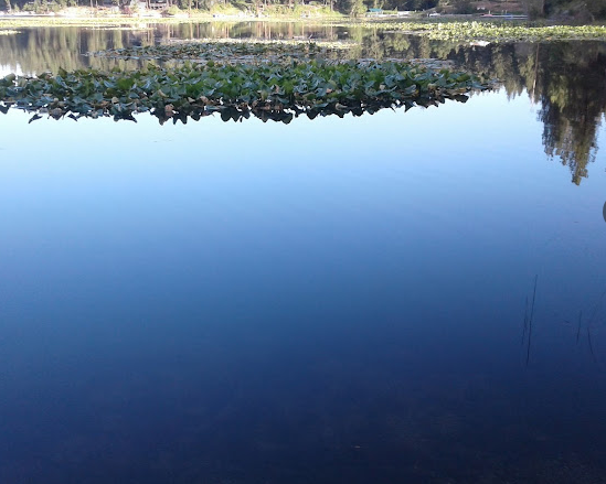 Mokins Bay Campground