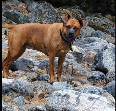 Mokelumne River Campground