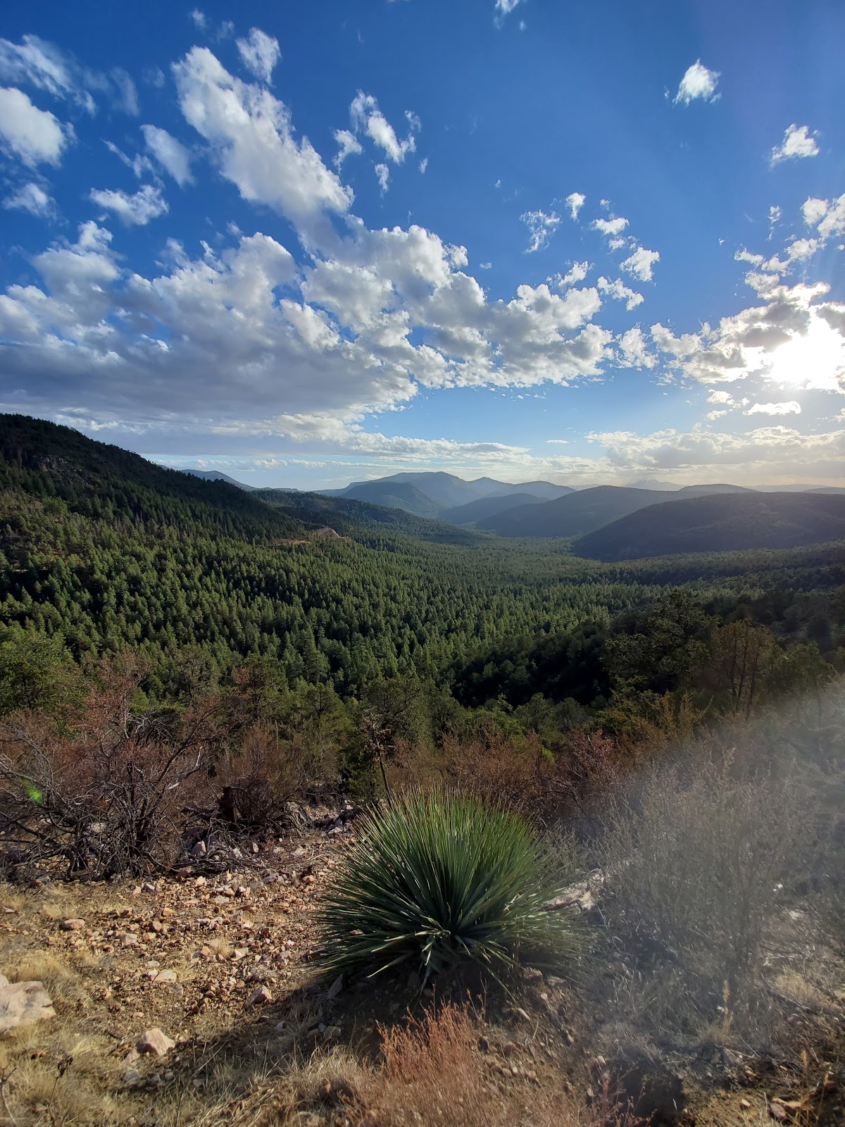 Rose Creek Campground