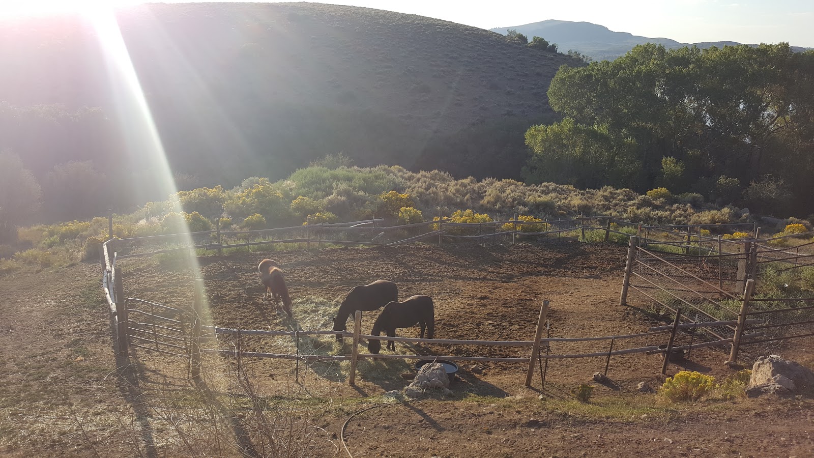 Ferro's Blue Mesa Ranch