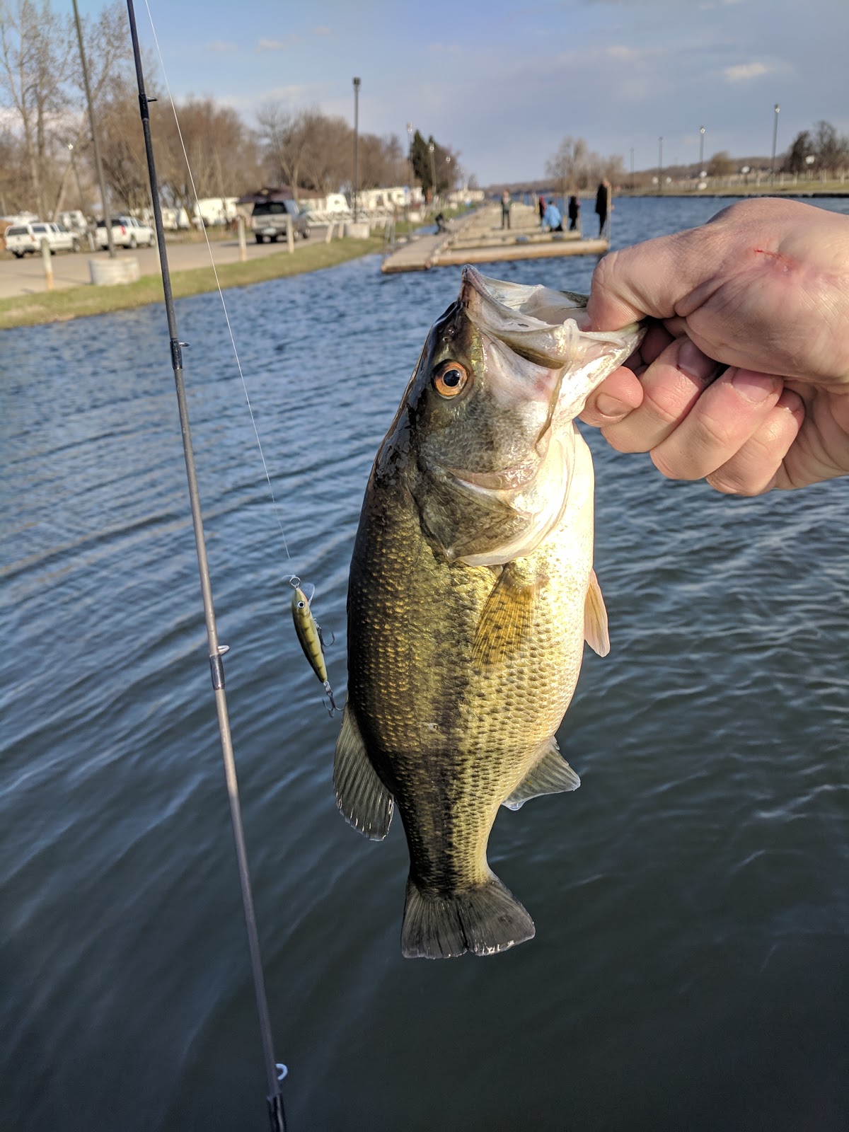 Hobo Park - Starbuck