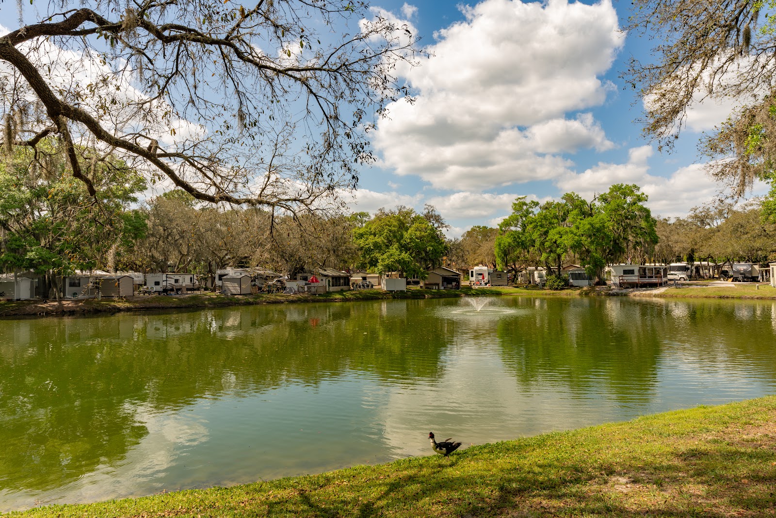 Spanish Main Carefree RV Resort