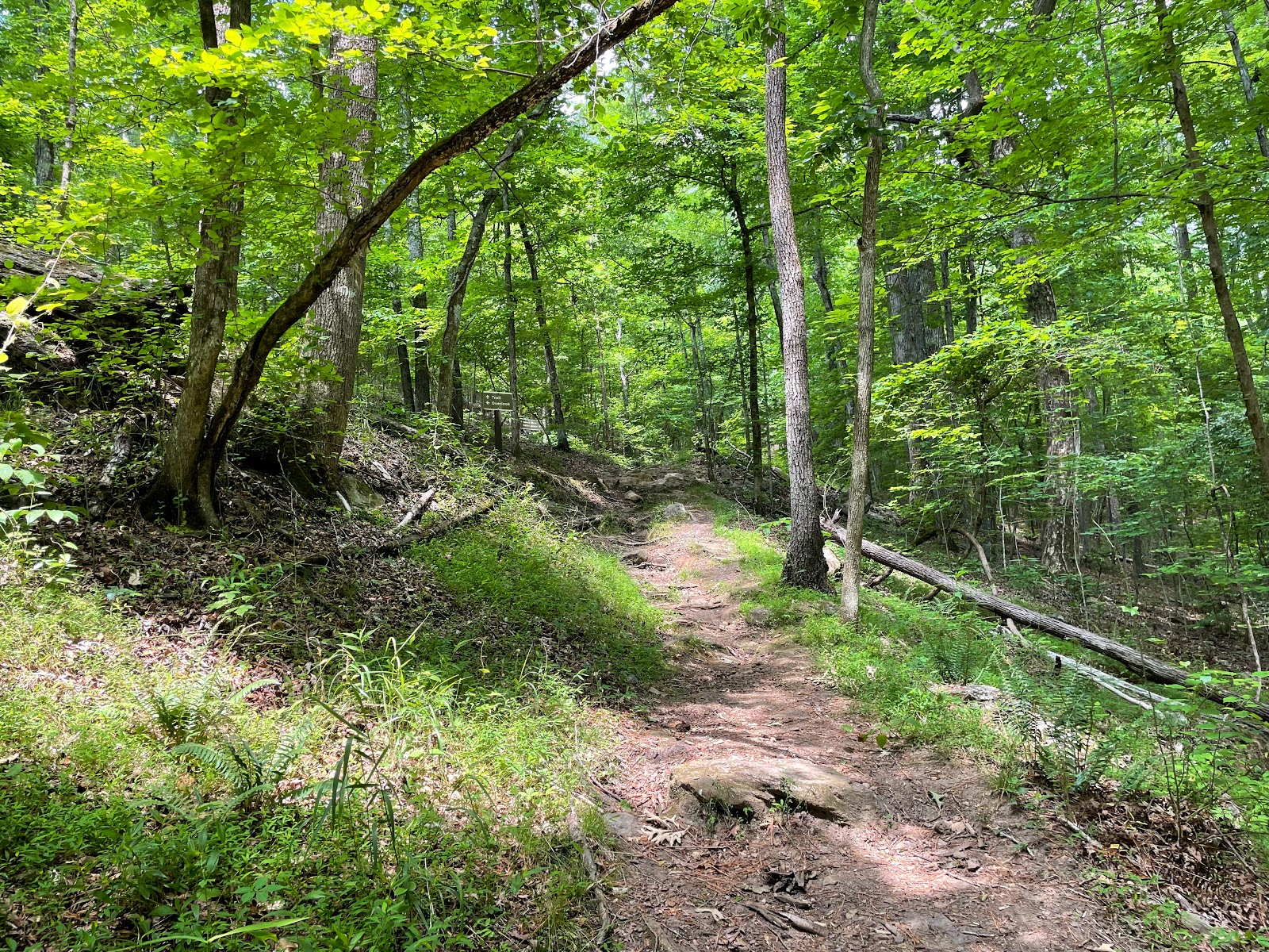 Cooper'S Furnace Day Use Area (GA)