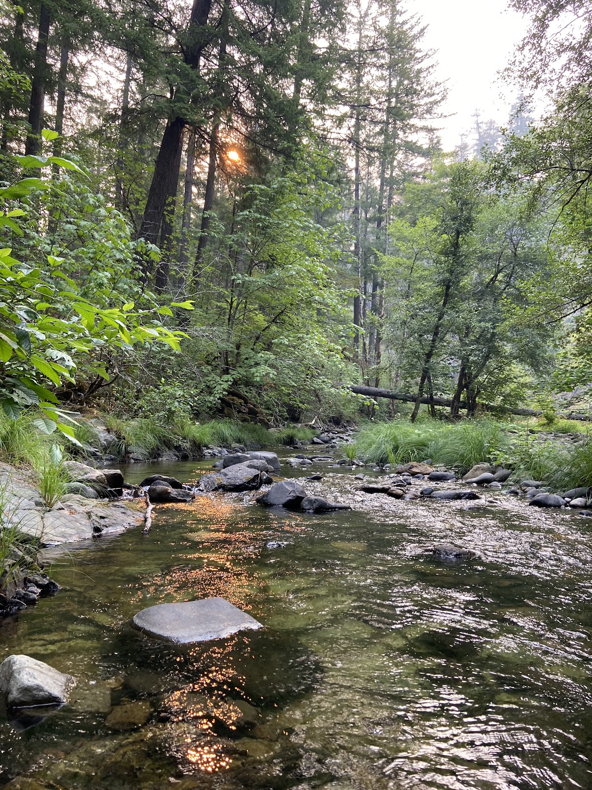 Horseshoe Bend Campground