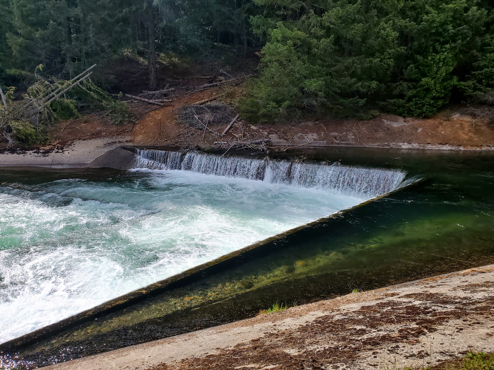Lemolo Two Forebay Campground