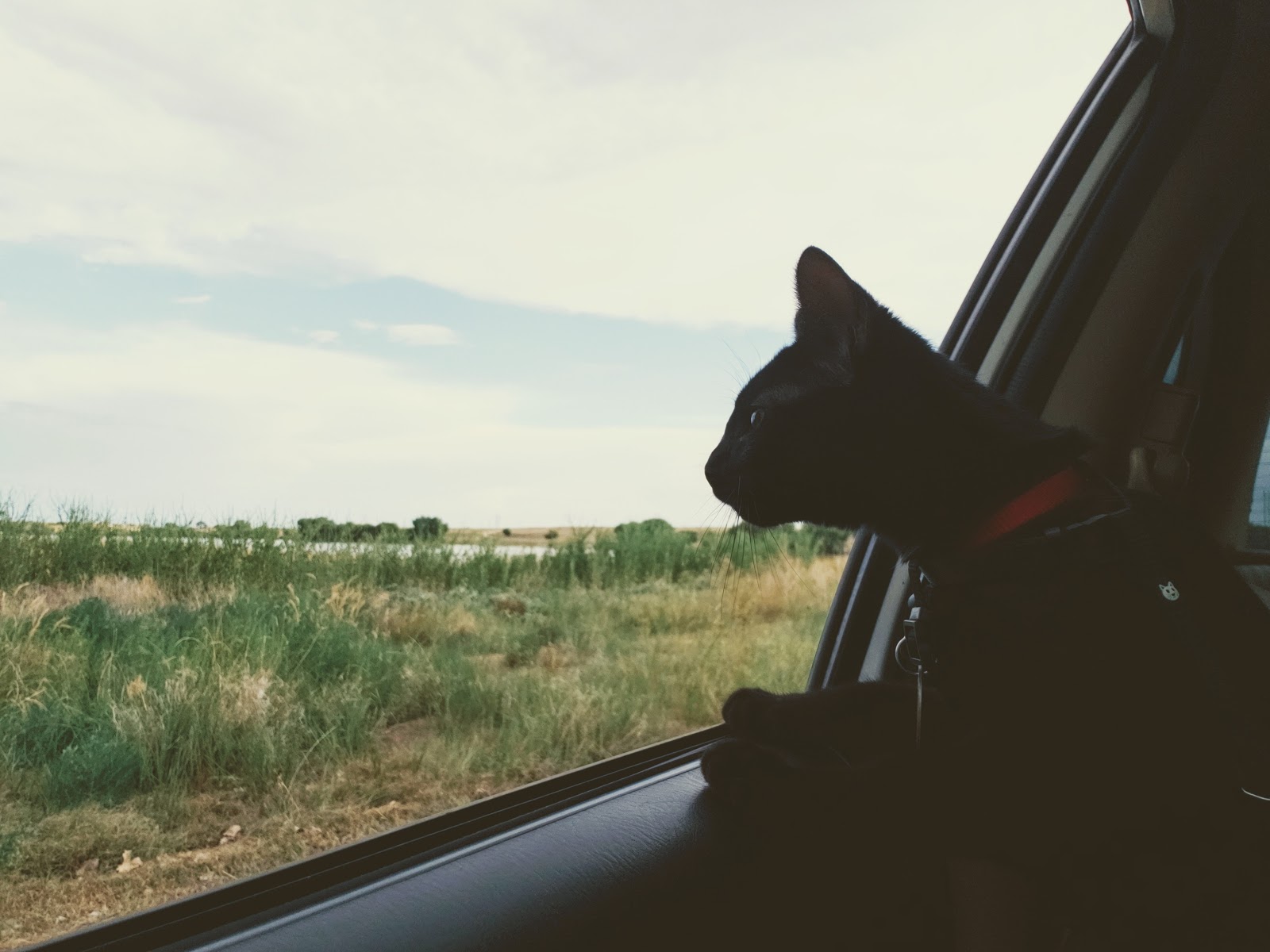 Rita Blanca Lake Park