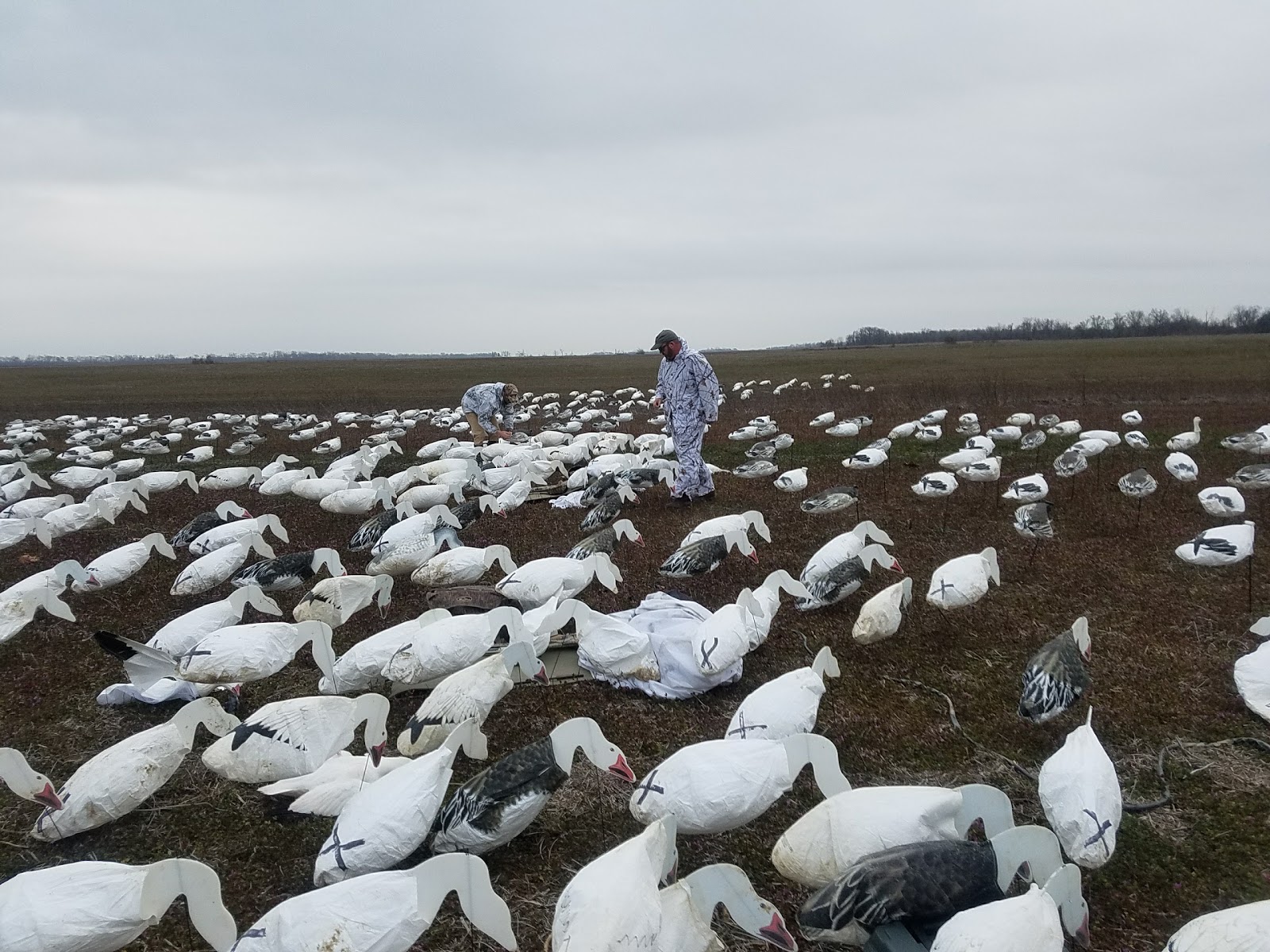 Arkansas Duckmasters Guide Service