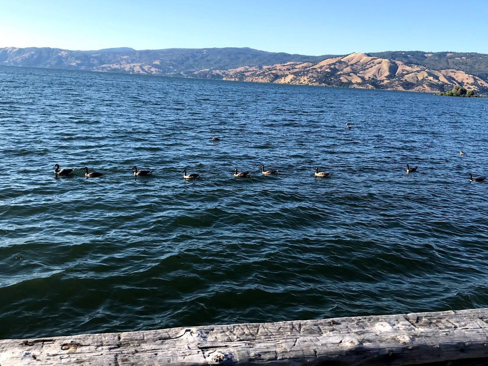 Edgewater Resort and RV Park