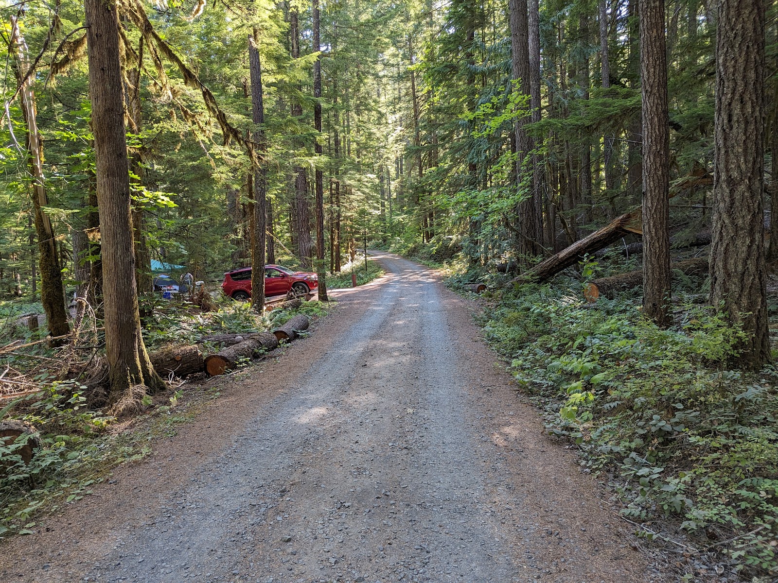 Panther Creek Campground