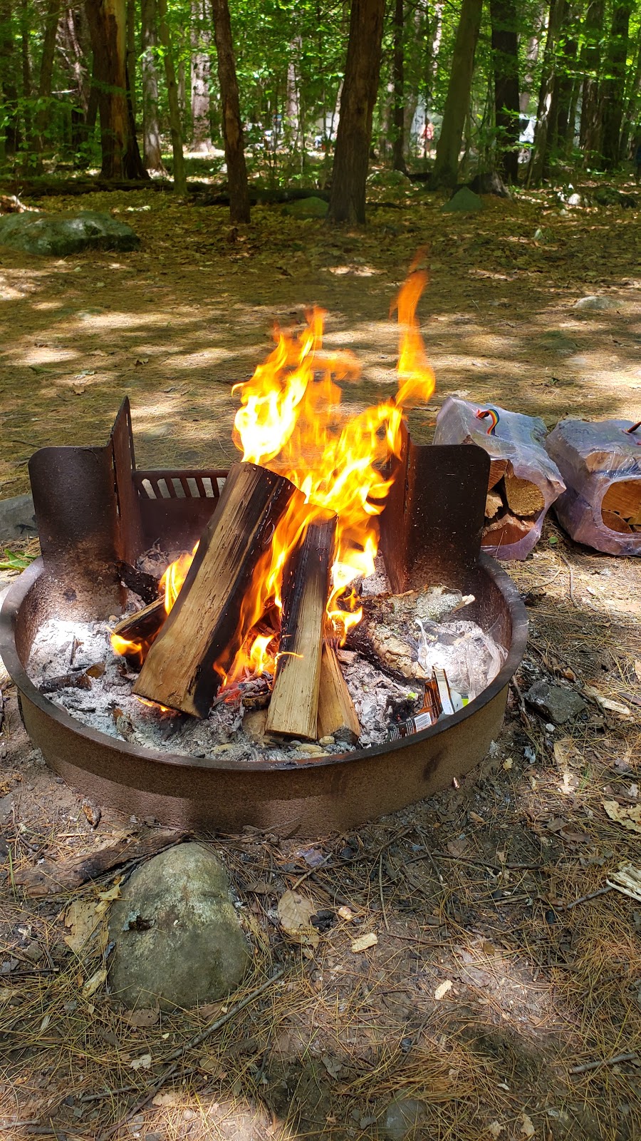 Tolland State Forest Campground