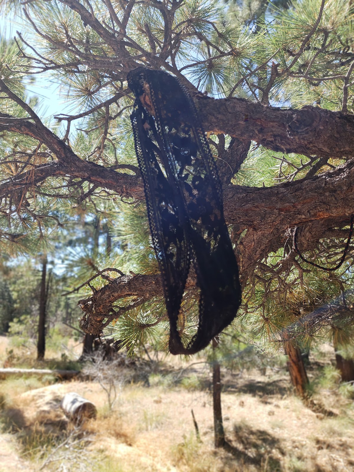 Tent Peg Group Campground
