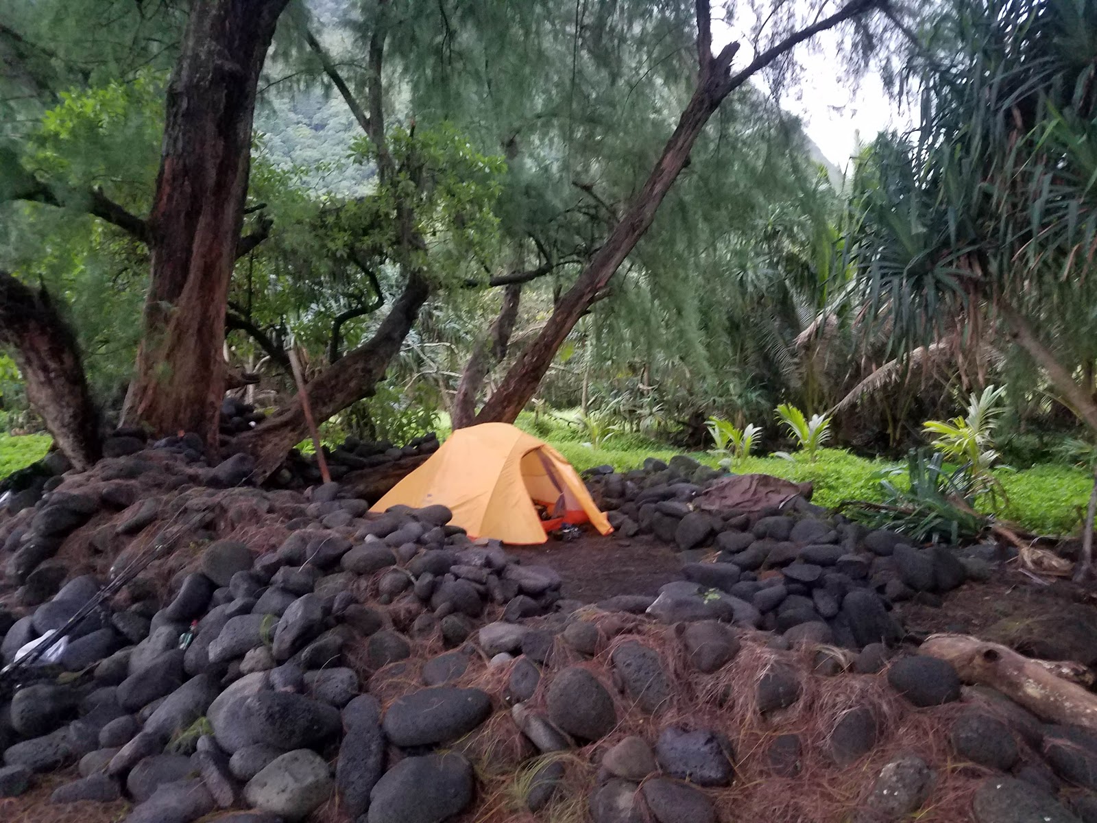 Waimanu Valley Campsite