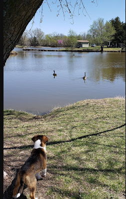 Spring Lake RV Resort