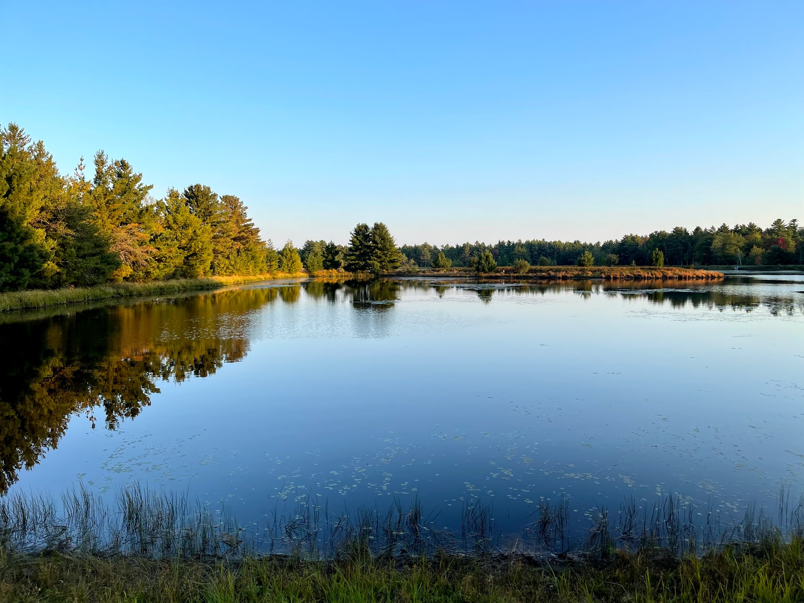 Pigeon Creek Campground