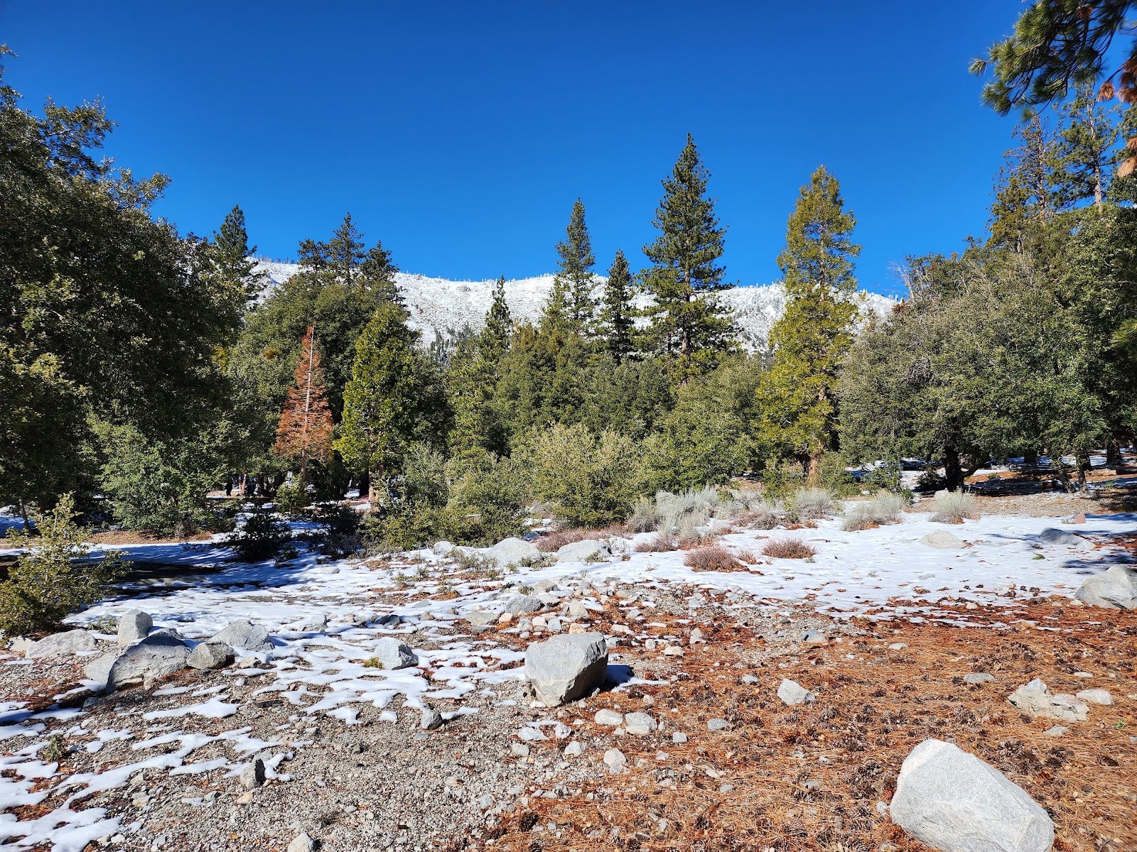 Crystal Lake Rec Area Campground