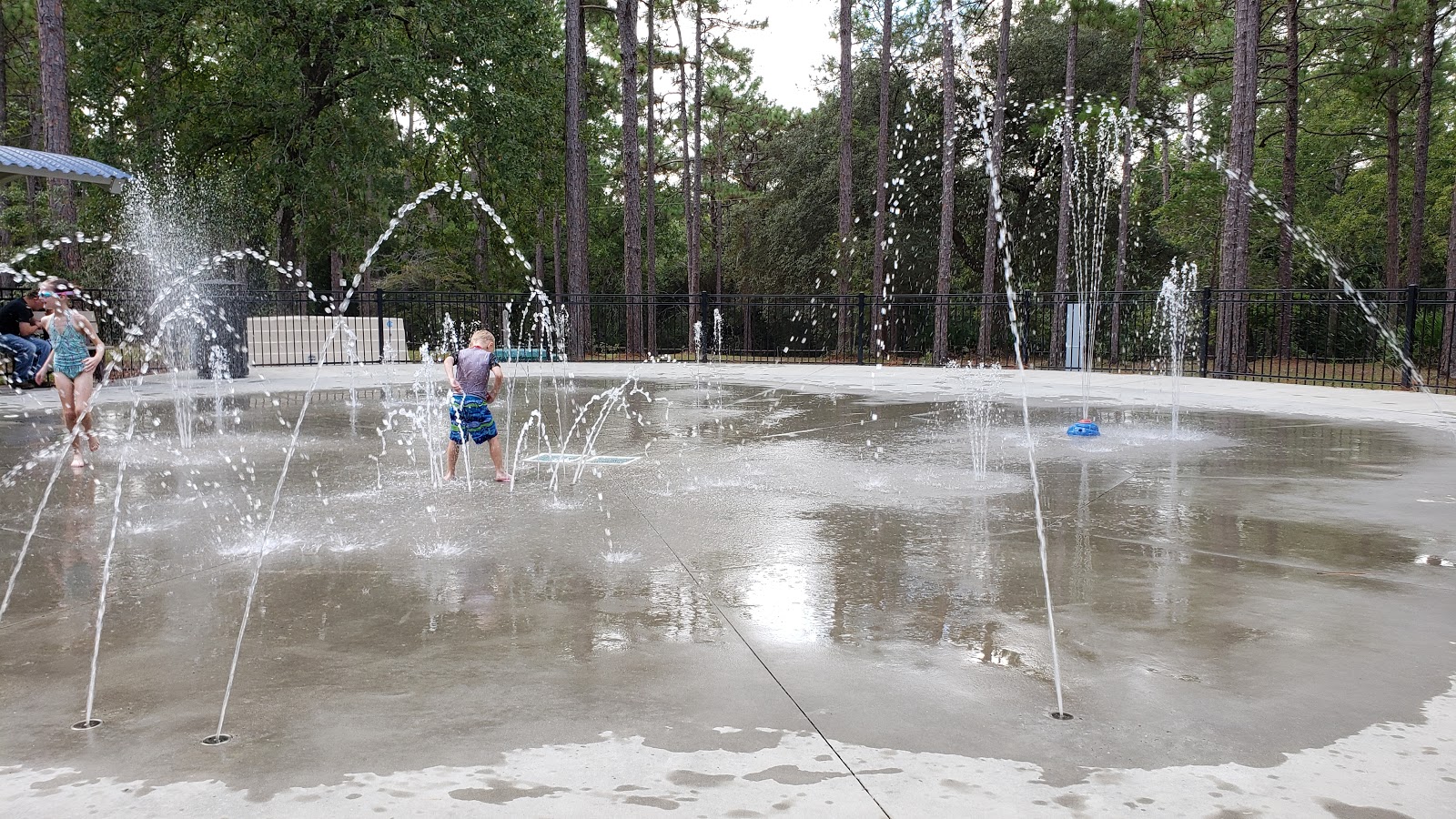 Gordonia-Alatamaha State Park Campground