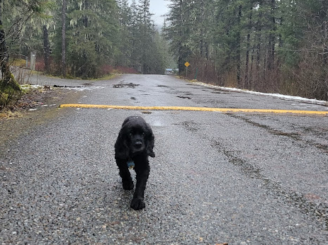 Mendenhall Campground