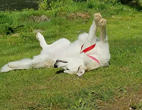 Creekside Campground