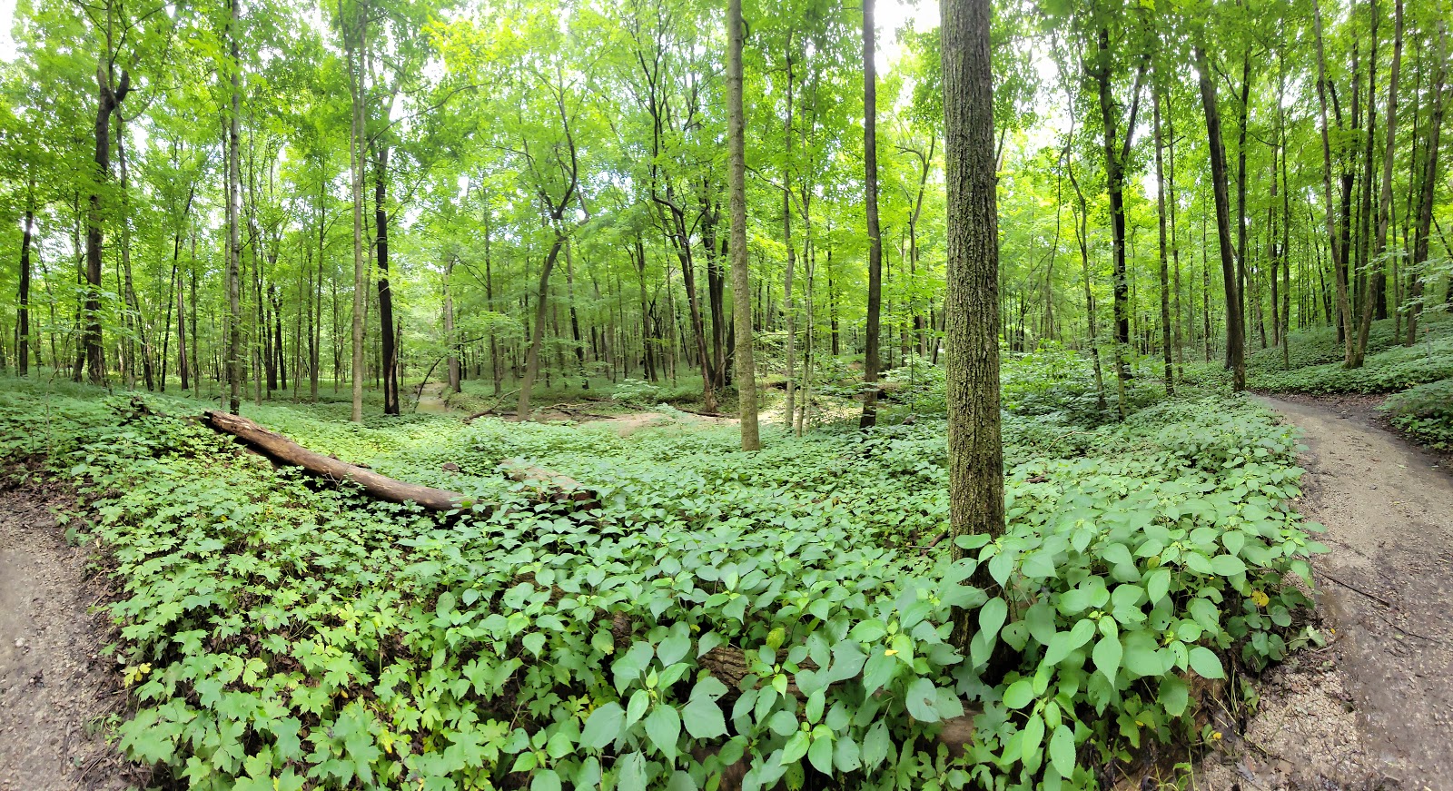 Moraine View State Recreation Area