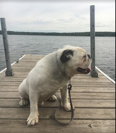 Rock Lake Campground