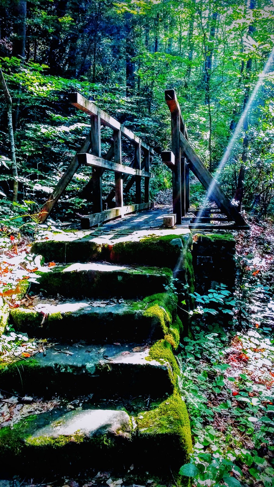 Cave Springs Recreation Area