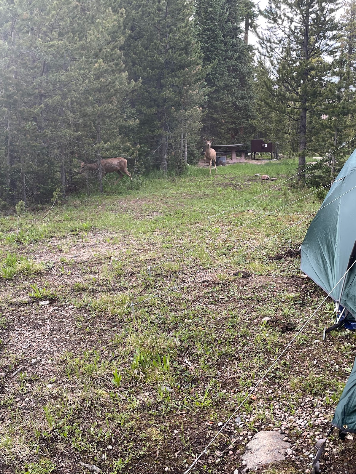 Long Draw Campground