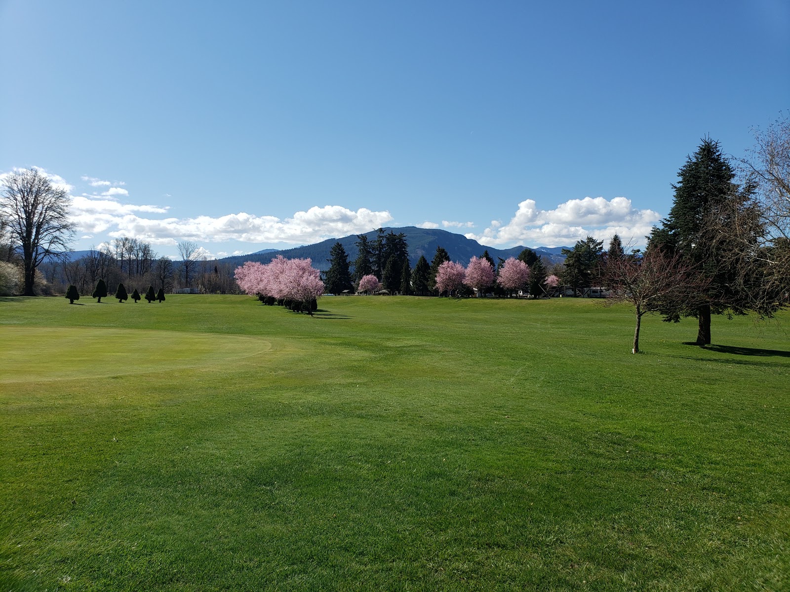 Medici Motel & Campground